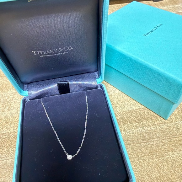 Tiffany & Co. Elsa Peretti®Diamonds by the Yard® Single Diamond Pendant